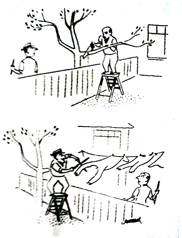热播漫画2